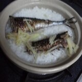 秋刀魚飯